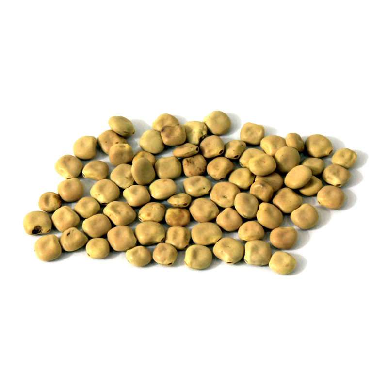 White Lupin