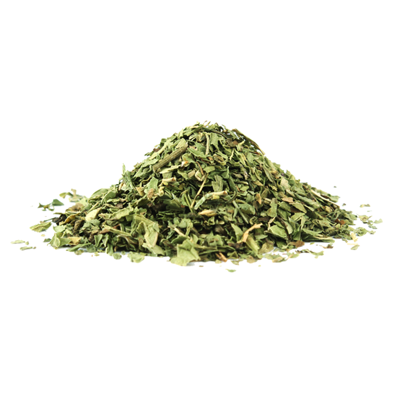 Wild Mint