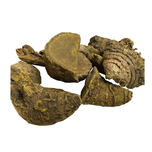 Wild Turmeric