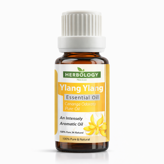Ylang Ylang essential oil pure cananga odorata floral oil for perfumery skincare haircare and aromatherapy