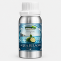 aqua-bulagri-perfume-oil