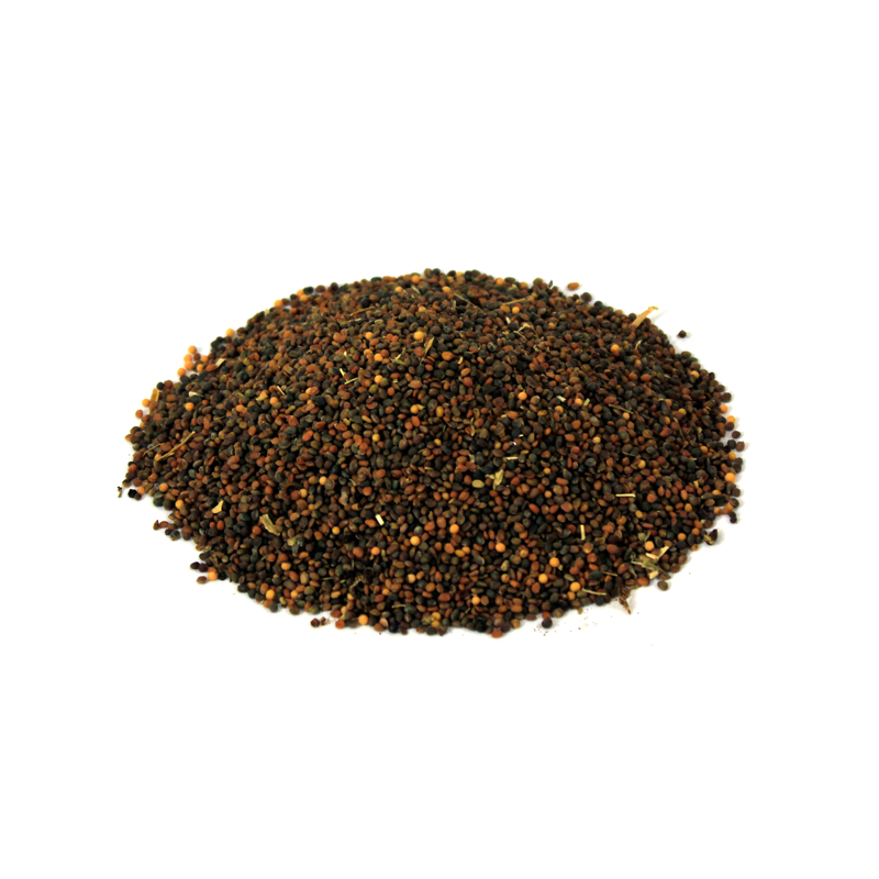 arugula saads