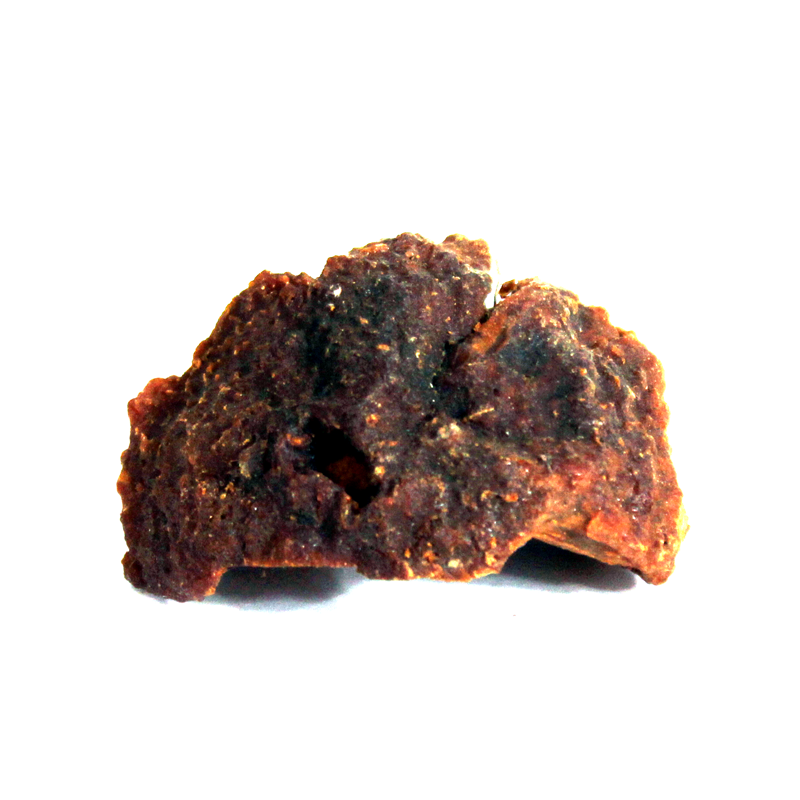 Bael Fruit