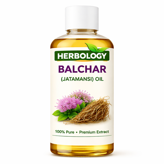 Balchar Jatamansi Oil for hair growth