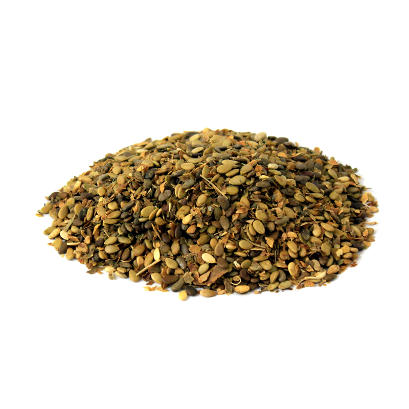 bitter apple seeds