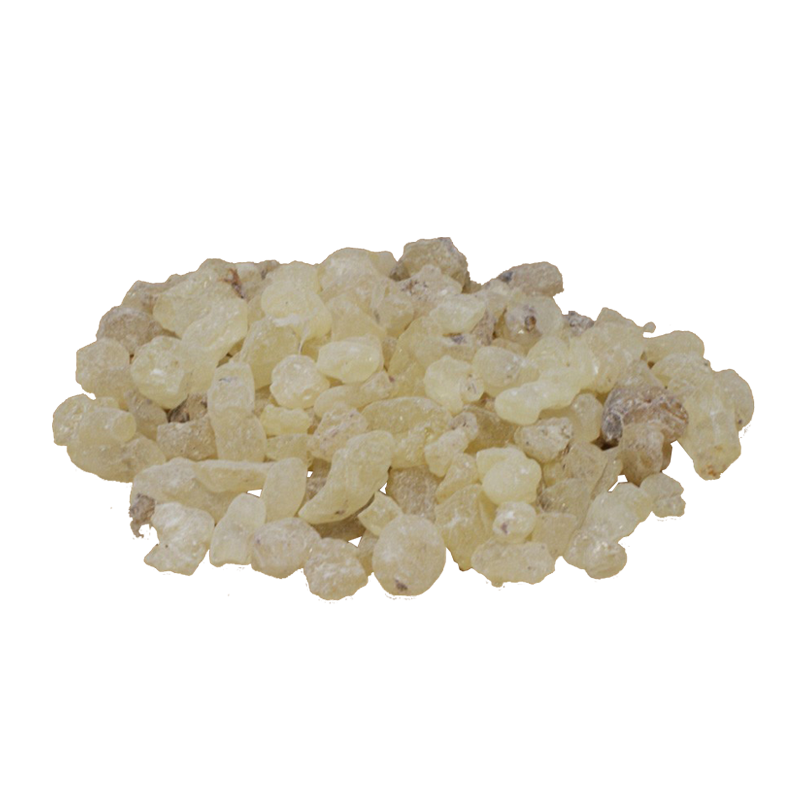 black dammar