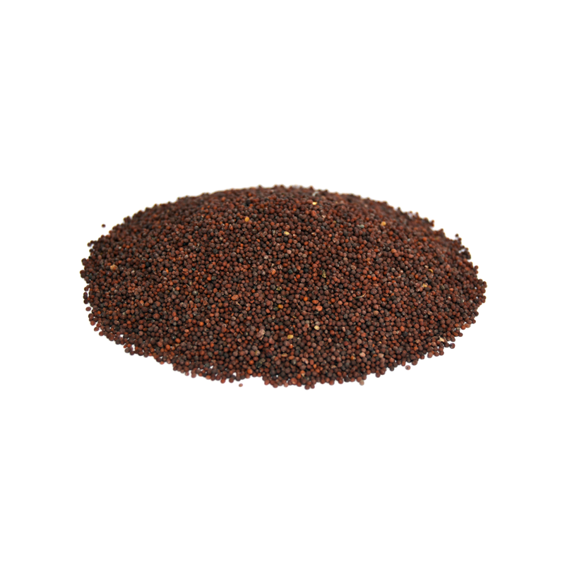 black mustard seeds