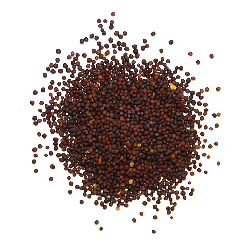 brown mustard