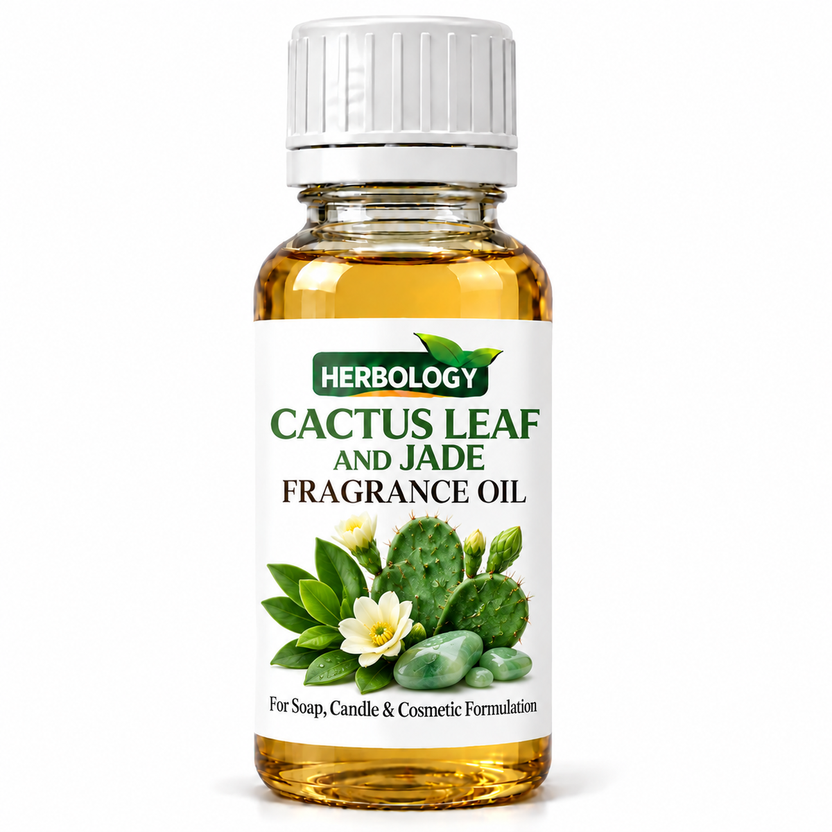 Cactus Leaf and Jade Fragrance Oil