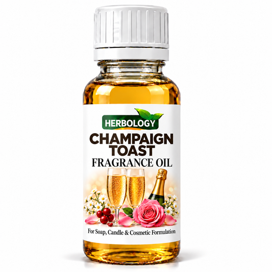 Champaign Toast Fragrance Oil
