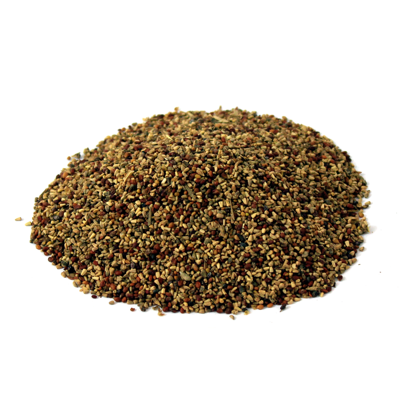 chicory seeds