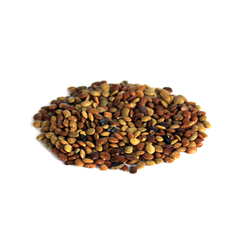chinese chaste tree seeds
