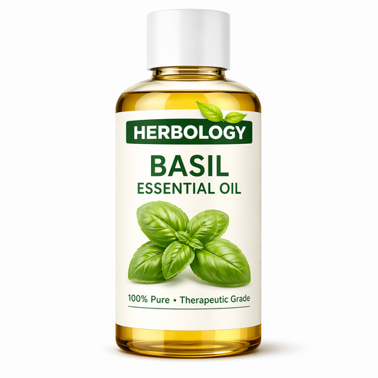 Basil Essential Oil for scalp stimulation