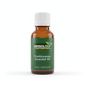 Frankincense Essential Oil - 10ML Herbology Bottle