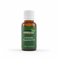 Lavender Essential Oil - 10ML Herbology Bottle