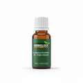 Eucalyptus Essential Oil - Water Soluble - 10ML Herbology Bottle