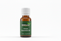 Onion Essential Oil - 10ML Herbology Bottle