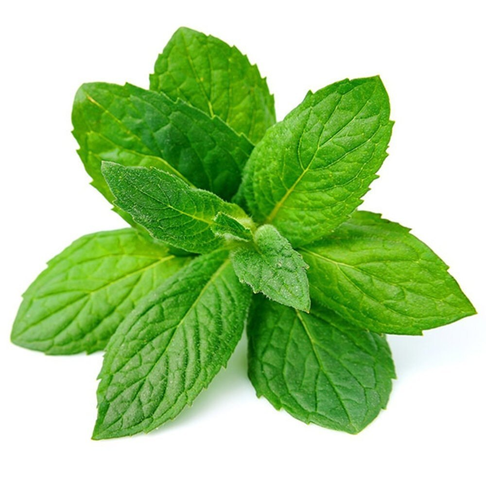 Mint Essence Flavour Oil