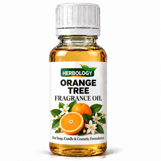 Orange Tree Fragrance Oil